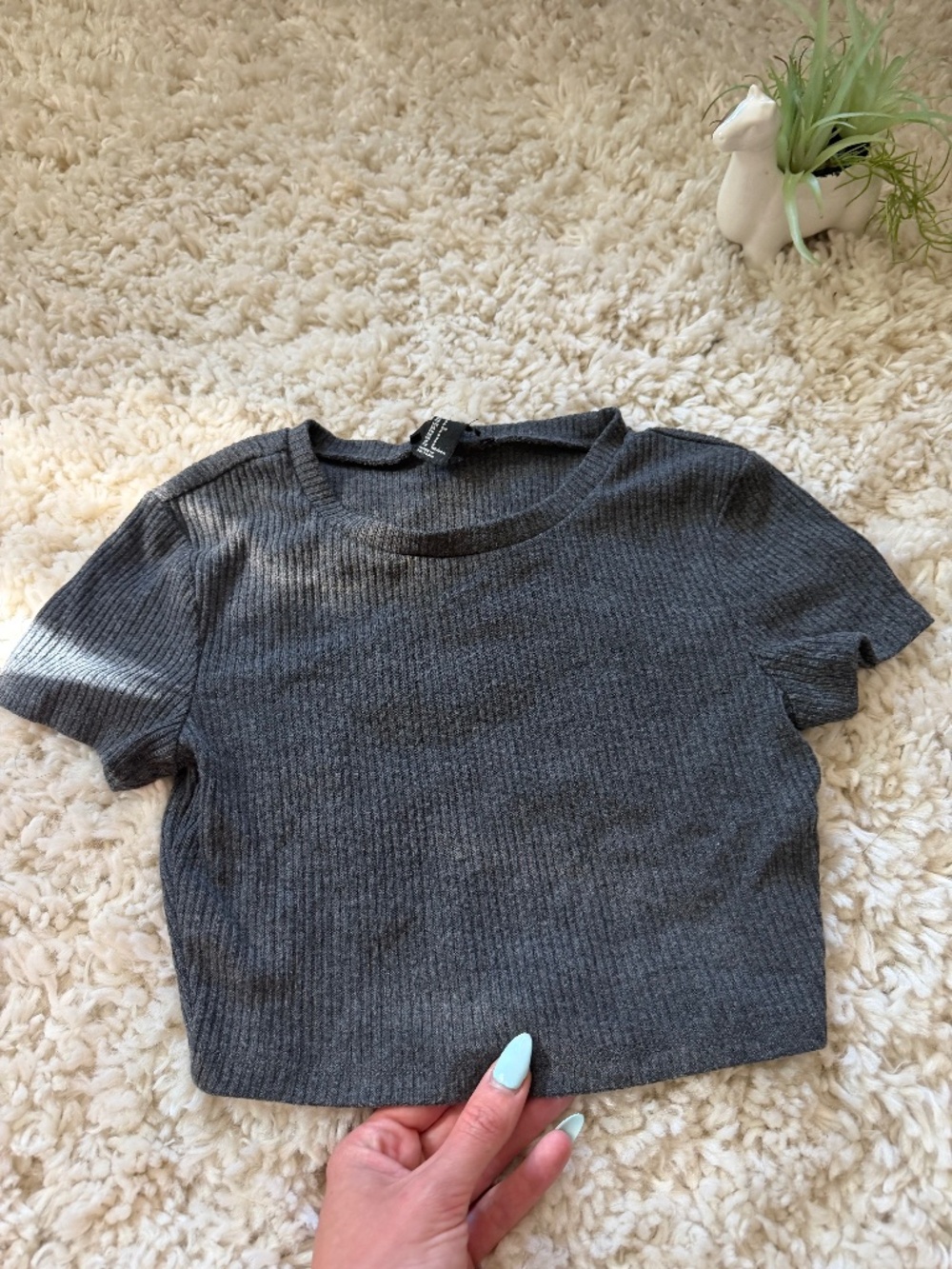 Forever 21 Dark Charcoal Ribbed streetwear, super cute, simple, basics Crop Tee